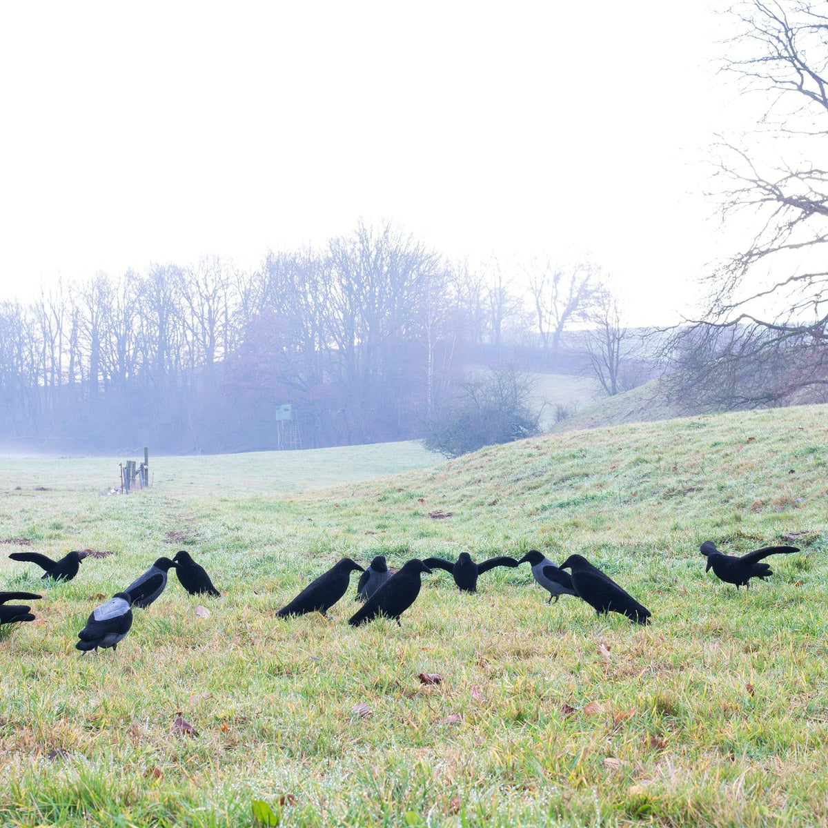 Eurohunt beflockter Krähen-Lockvogel mit Flügeln