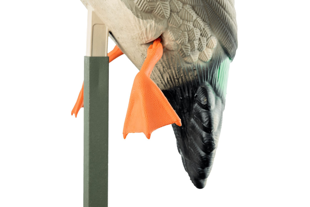 MOJO richiamo da caccia Wind Duck