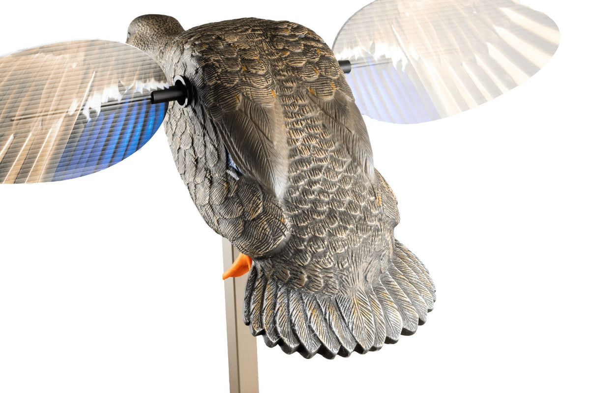 MOJO richiamo da caccia Elite Series Mini germano reale – Hen