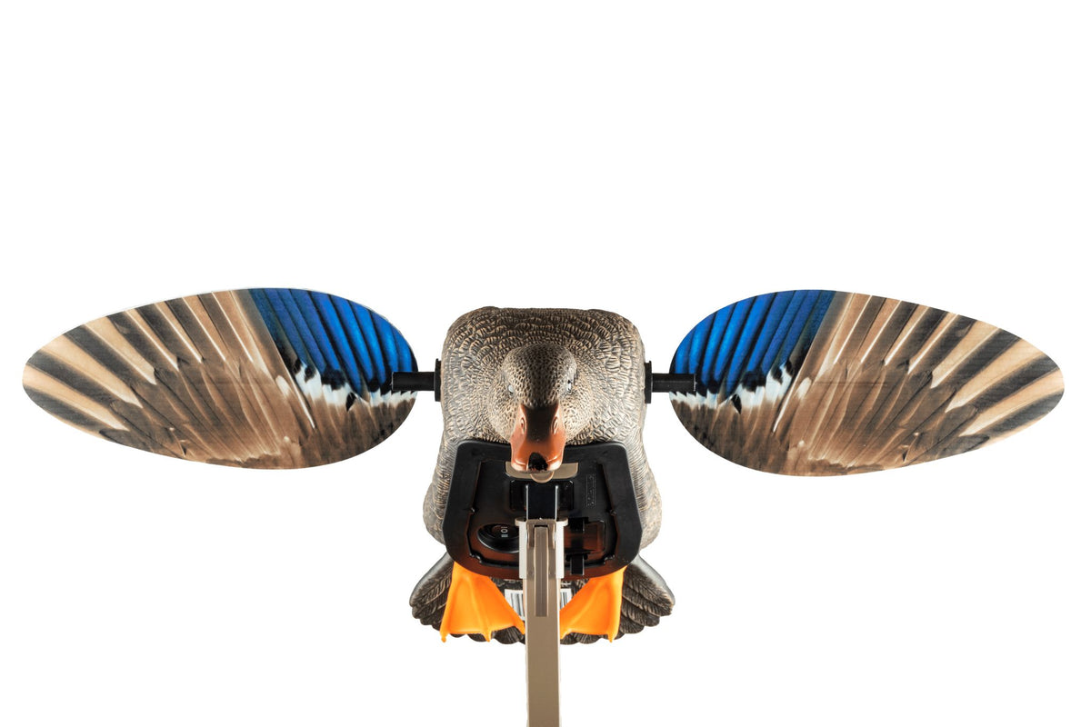 MOJO richiamo da caccia Elite Series Mini germano reale – Hen