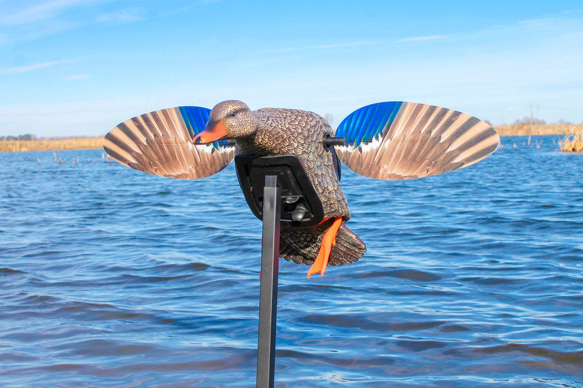 MOJO richiamo da caccia Elite Series Mini germano reale – Hen
