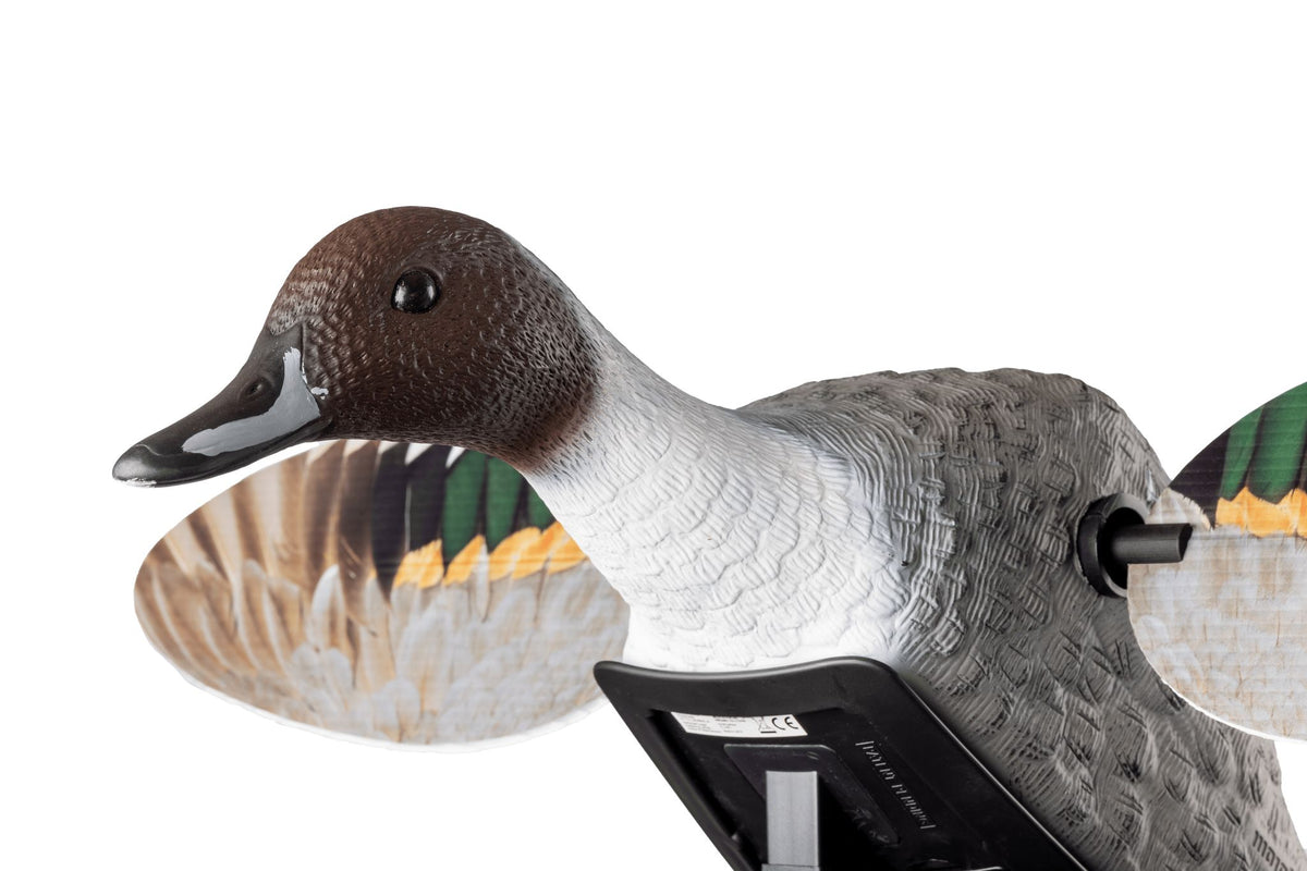 MOJO Lockvogel Elite Series Pintail