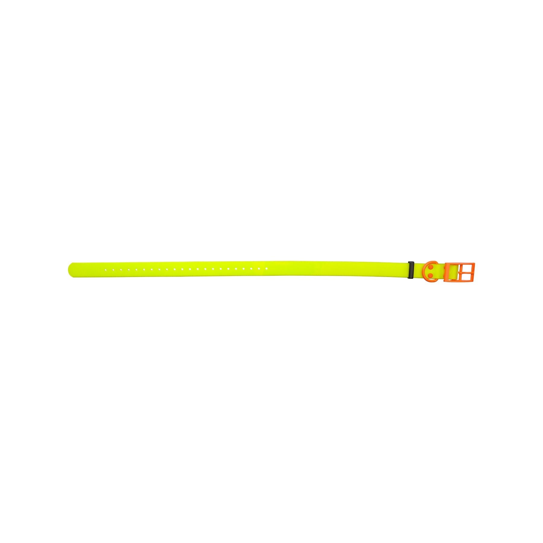 HP&G collare per cane – giallo, 65 × 2.5 cm