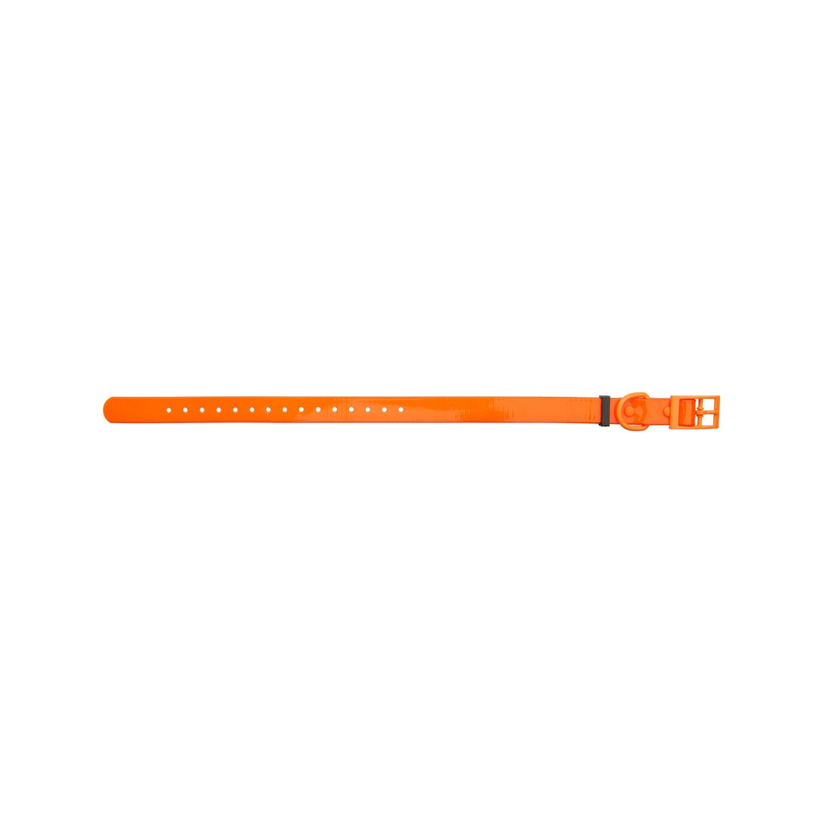 HP&G collare per cane – arancione, 45 × 1.9 cm
