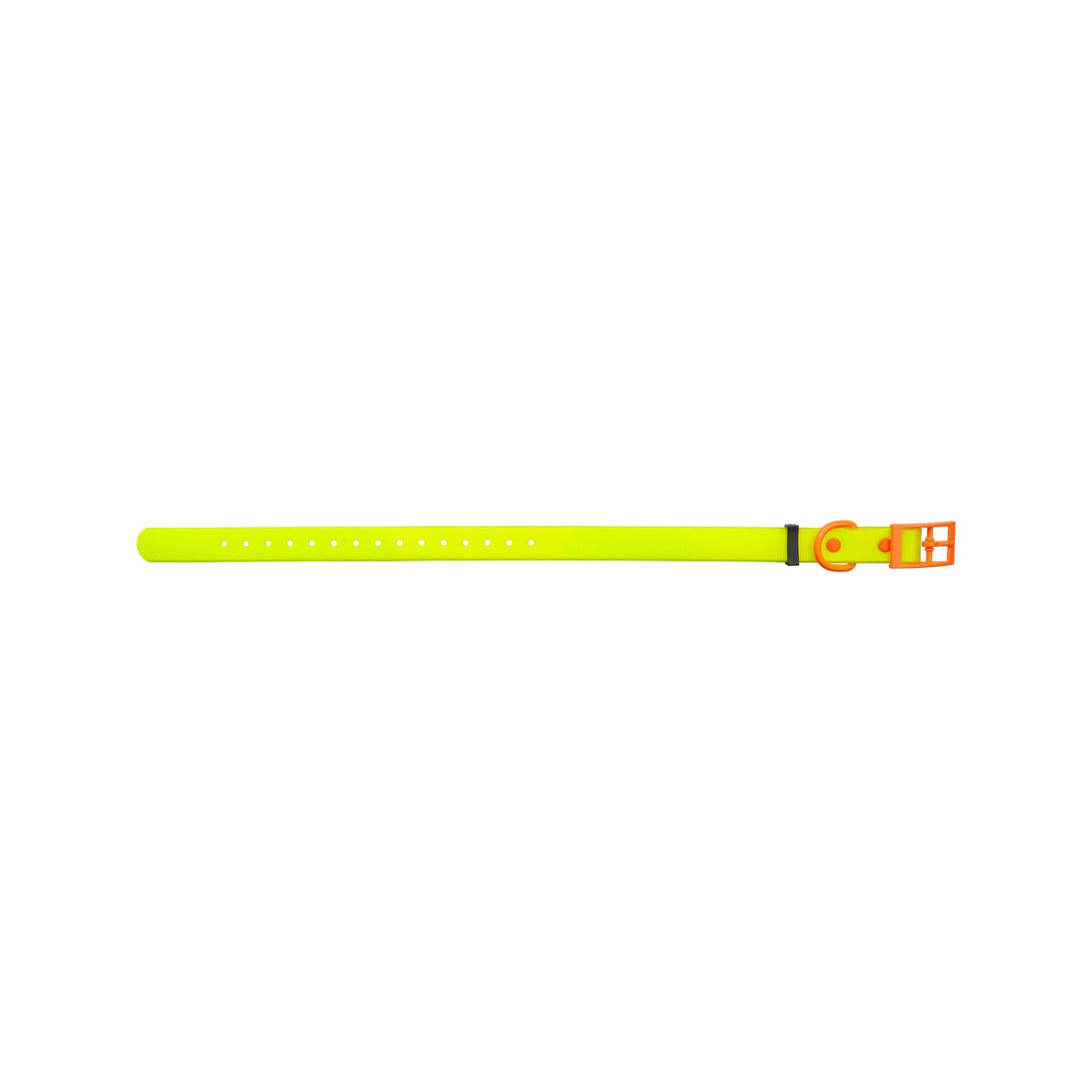 HP&G collare per cane – giallo, 45 × 1.9 cm