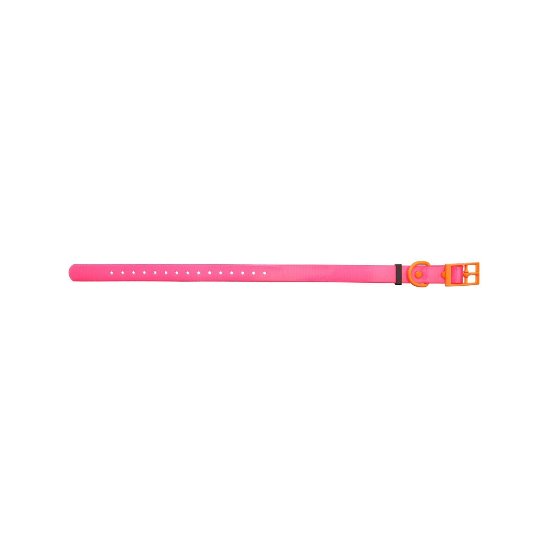 HP&G collare per cane – rosa, 45 × 1.9 cm