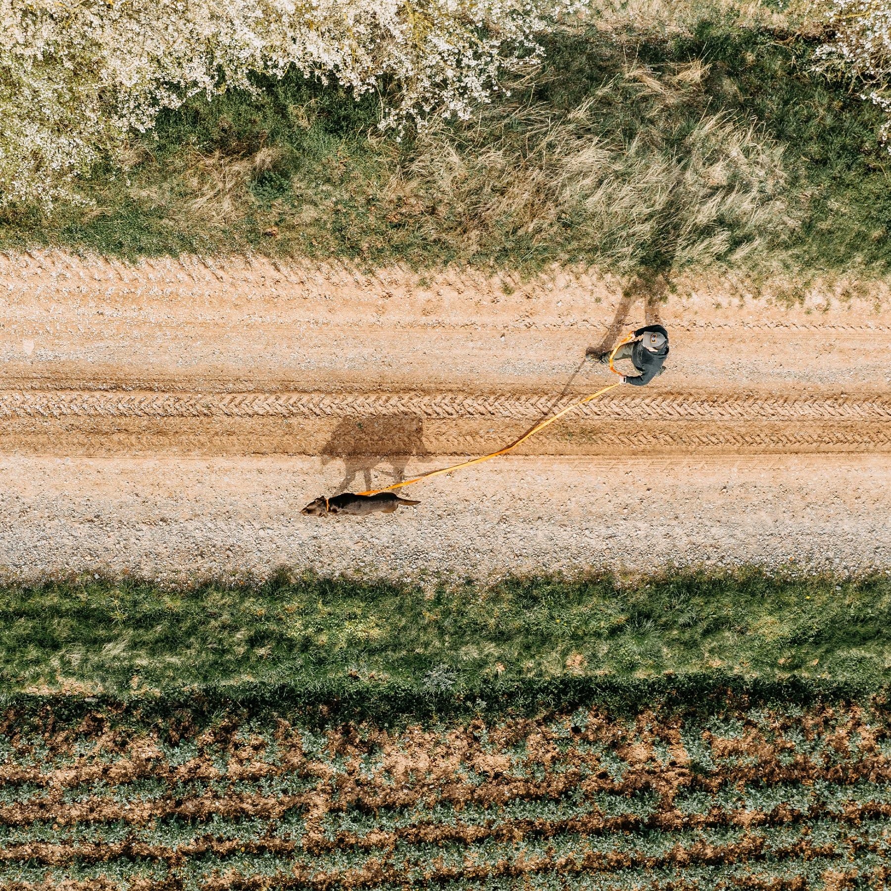 HP&G lunghina da traccia – circa 500 cm