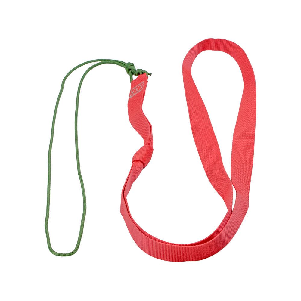 Eurohunt Wildbergehilfe Mufflon
