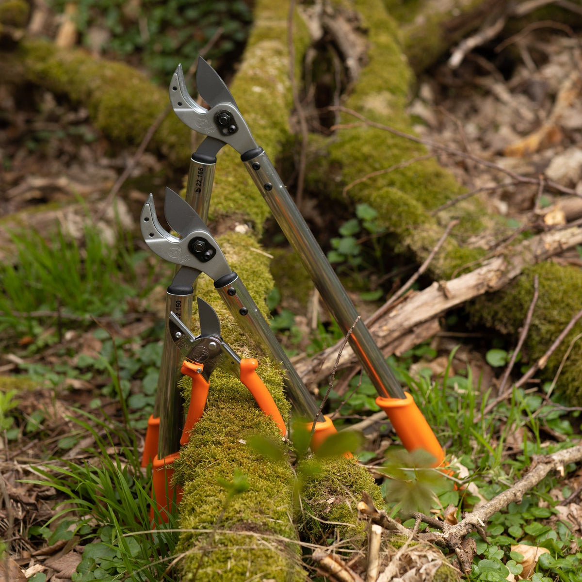 Eurohunt LÖWE Hunting Star