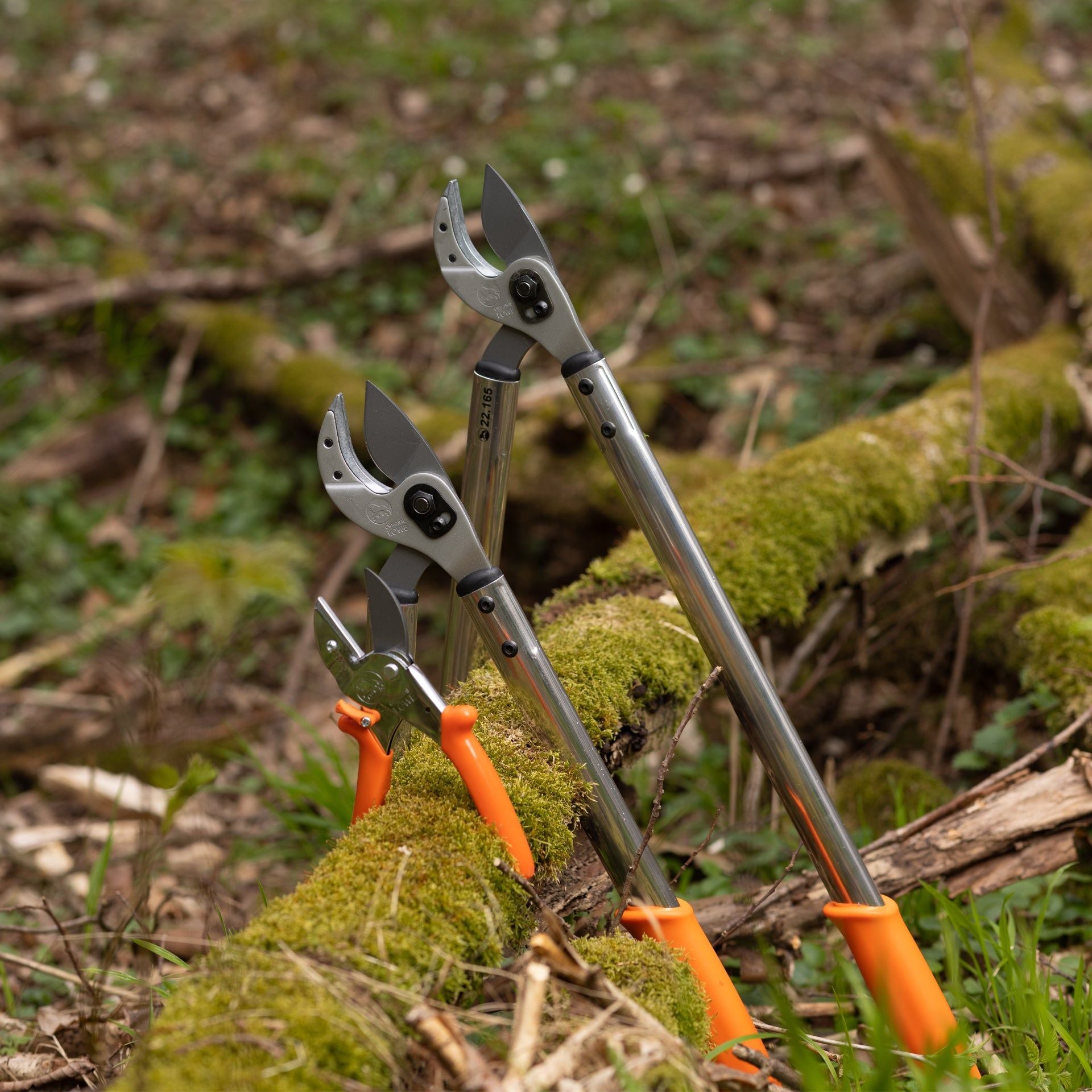 Eurohunt LÖWE Hunting Star – ročaj 50 cm