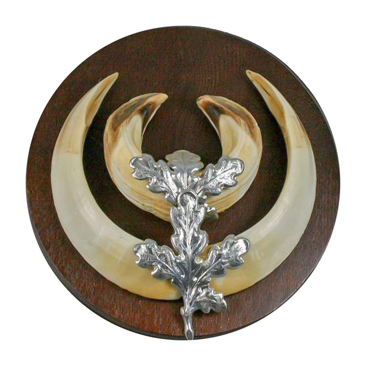 Eurohunt oak leaves for boar tusks – silver, pack 4