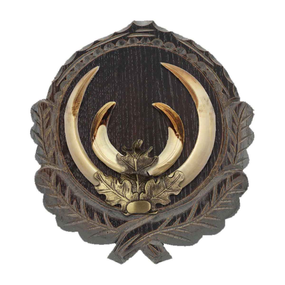 Eurohunt foglie di quercia per zanne di cinghiale – bronzo