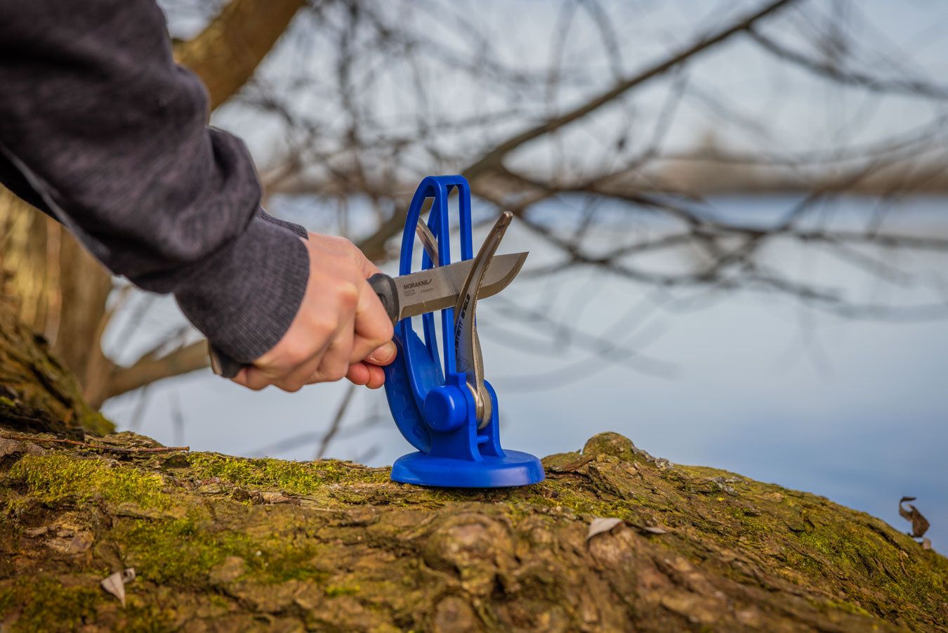 Warthog Messerschärfer V-Sharp Curve – blau
