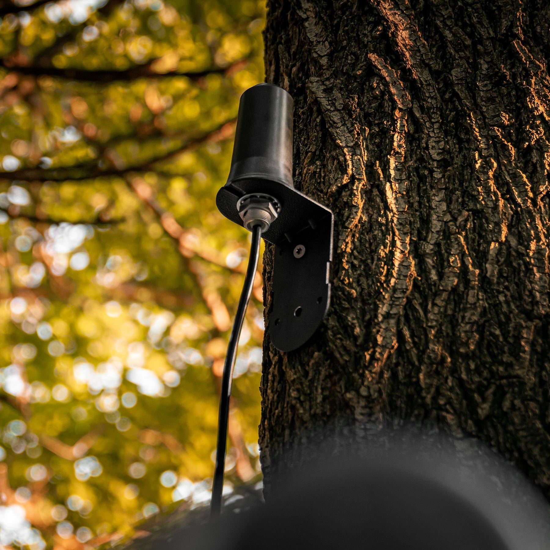 SPYPOINT 4G/LTE-Antenne CA-01