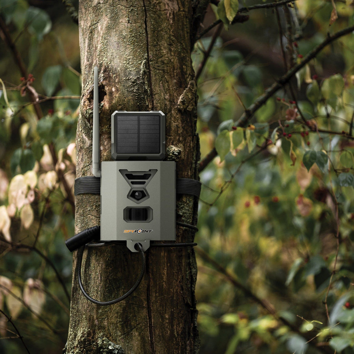 SPYPOINT SB-500S Metal Security Box