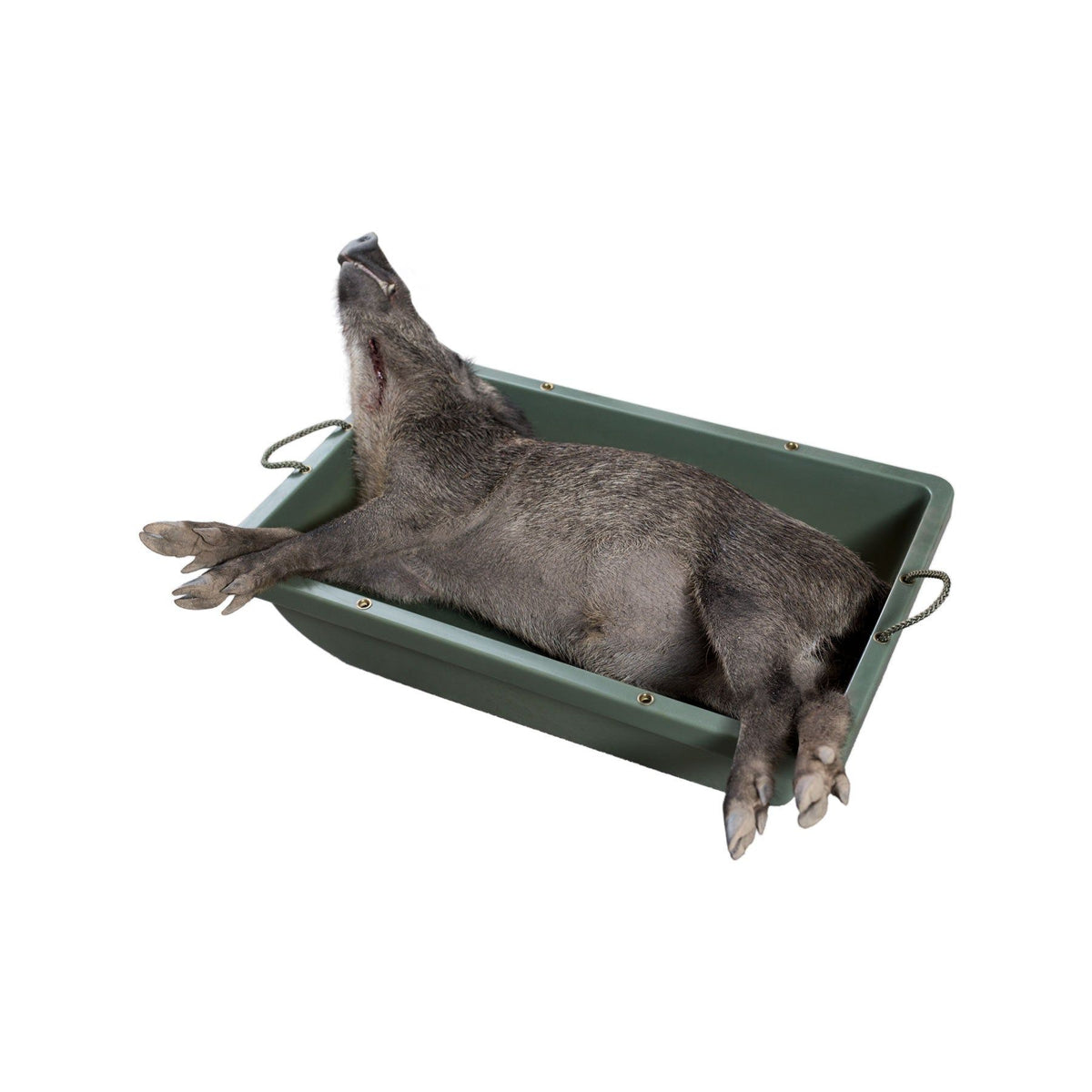 Eurohunt universelle Wildwanne