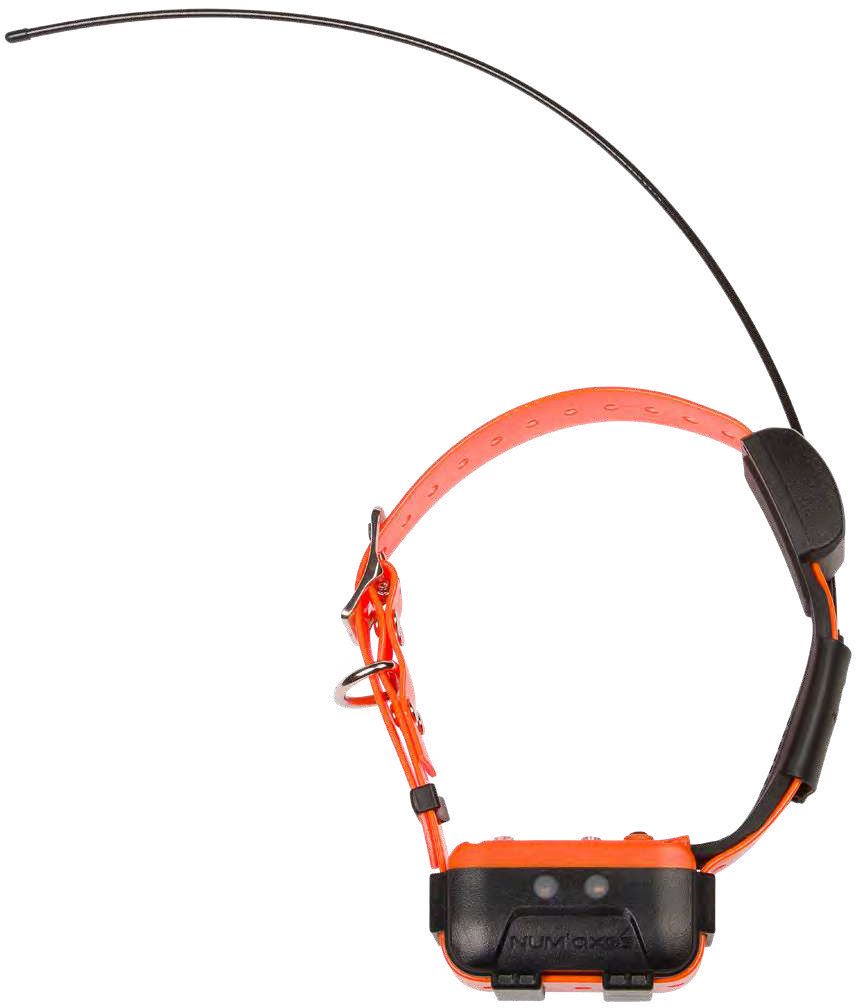 Numaxes Canicom GPS 2 komplet + ogrlica + antena