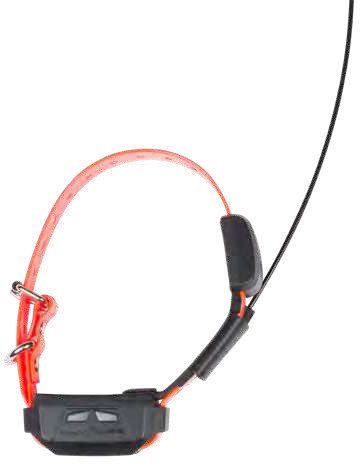 Numaxes Canicom GPS Mini dodatna ogrlica
