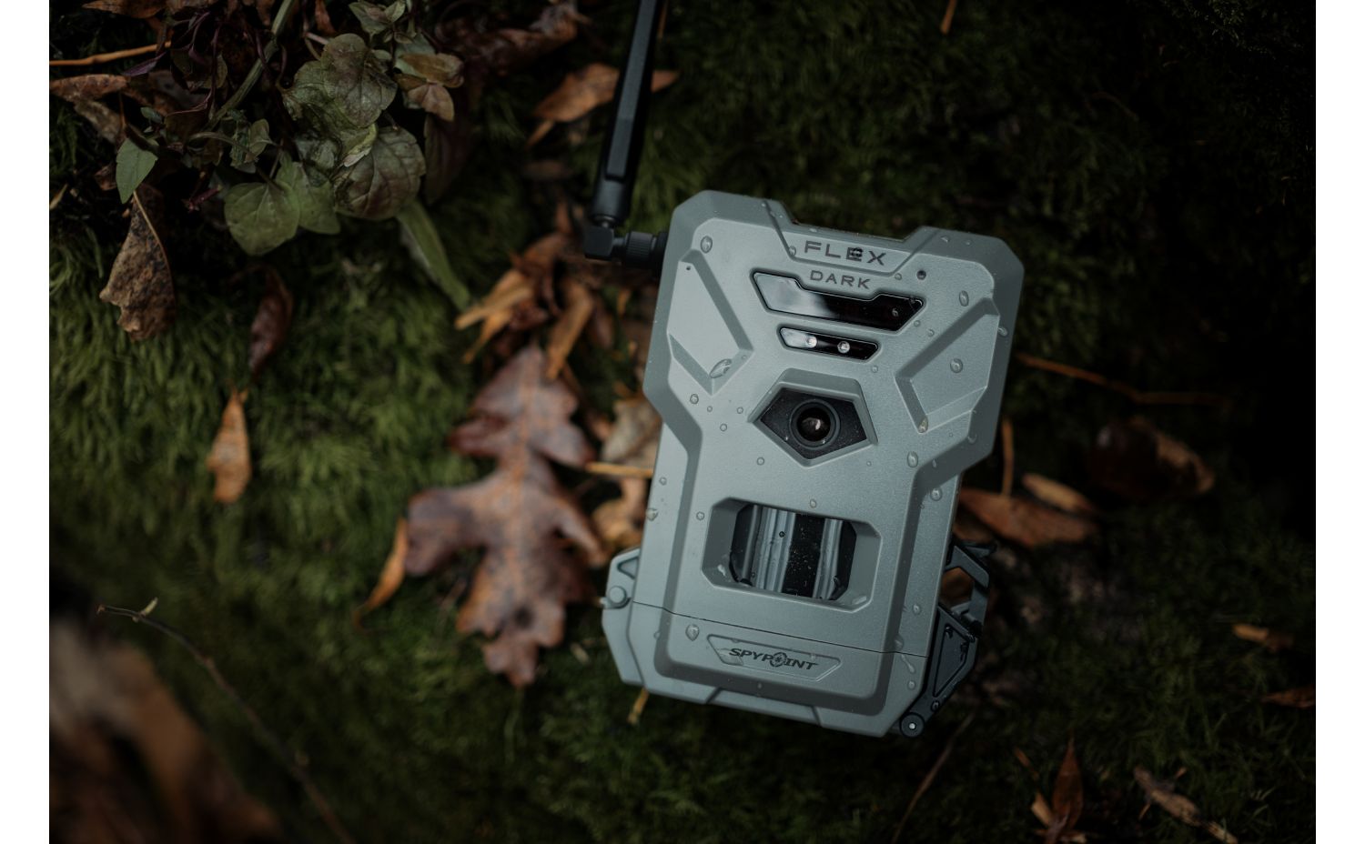 SpyPoint FLEX DARK TWIN PACK LTE kamera