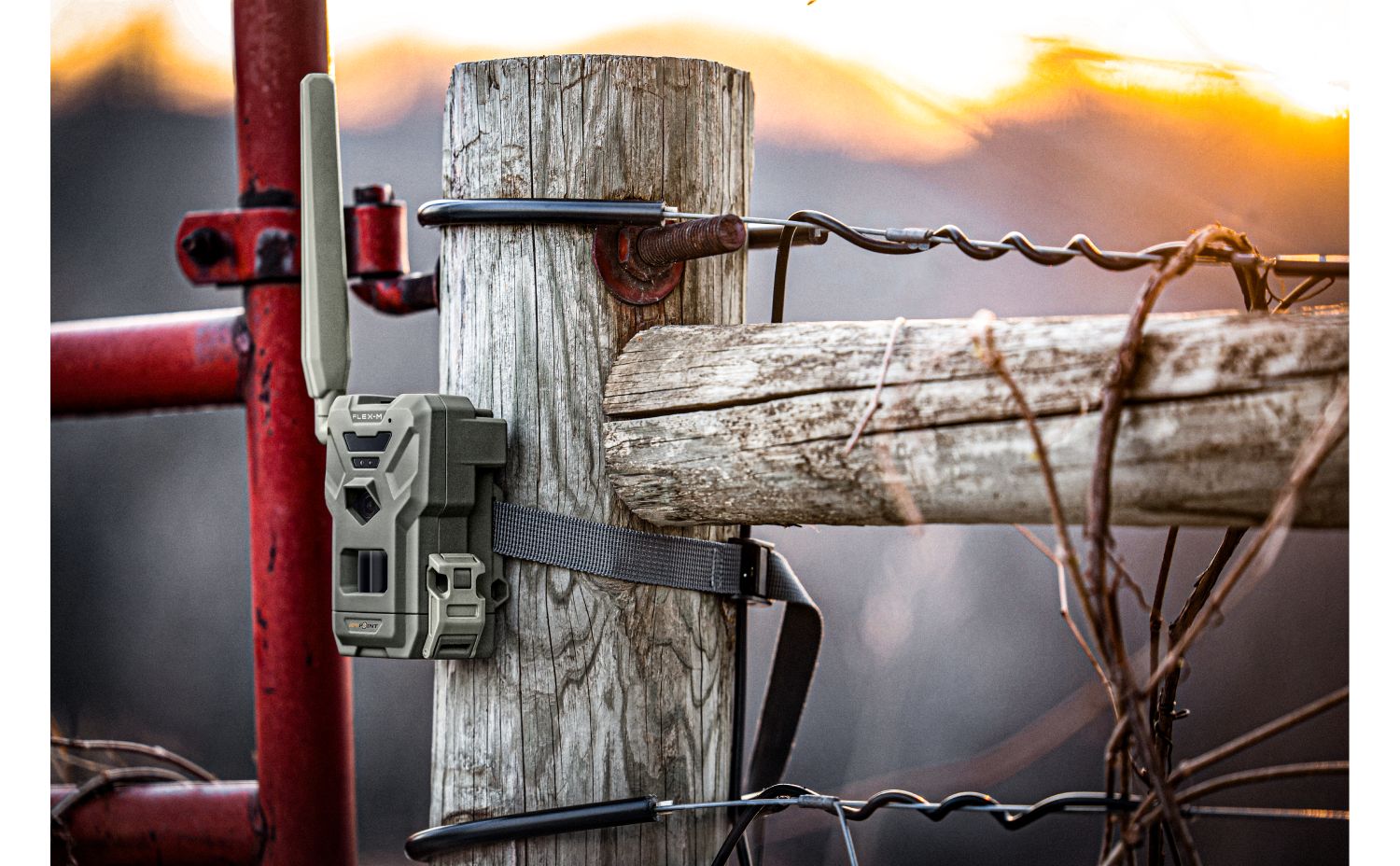 SpyPoint FLEX M LTE kamera