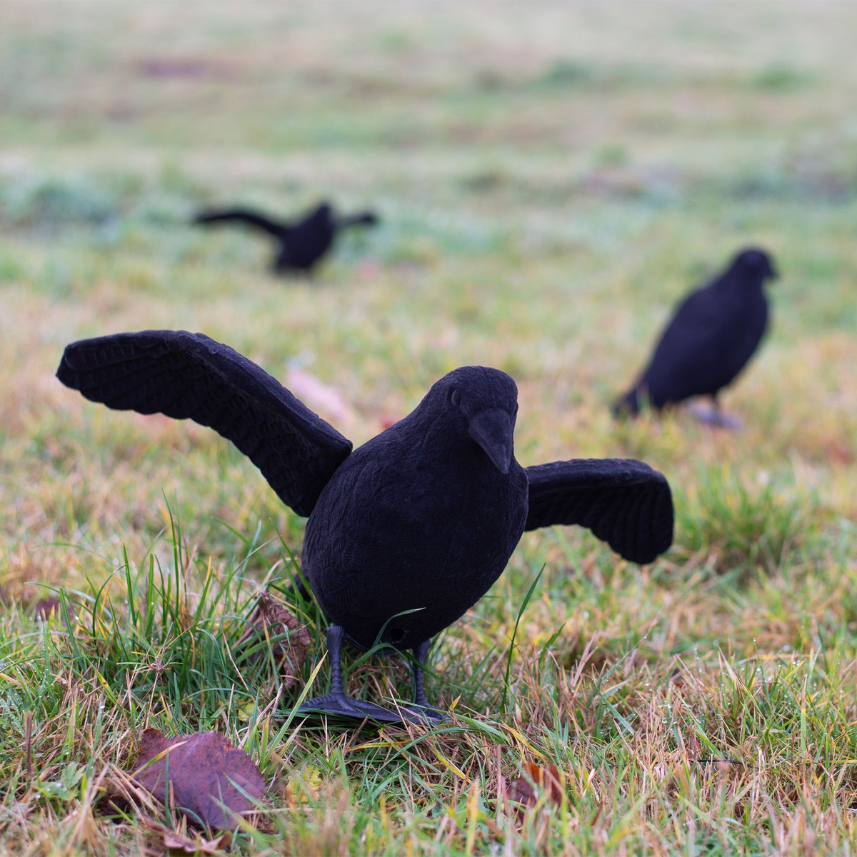 Eurohunt beflockter Krähen-Lockvogel mit Flügeln
