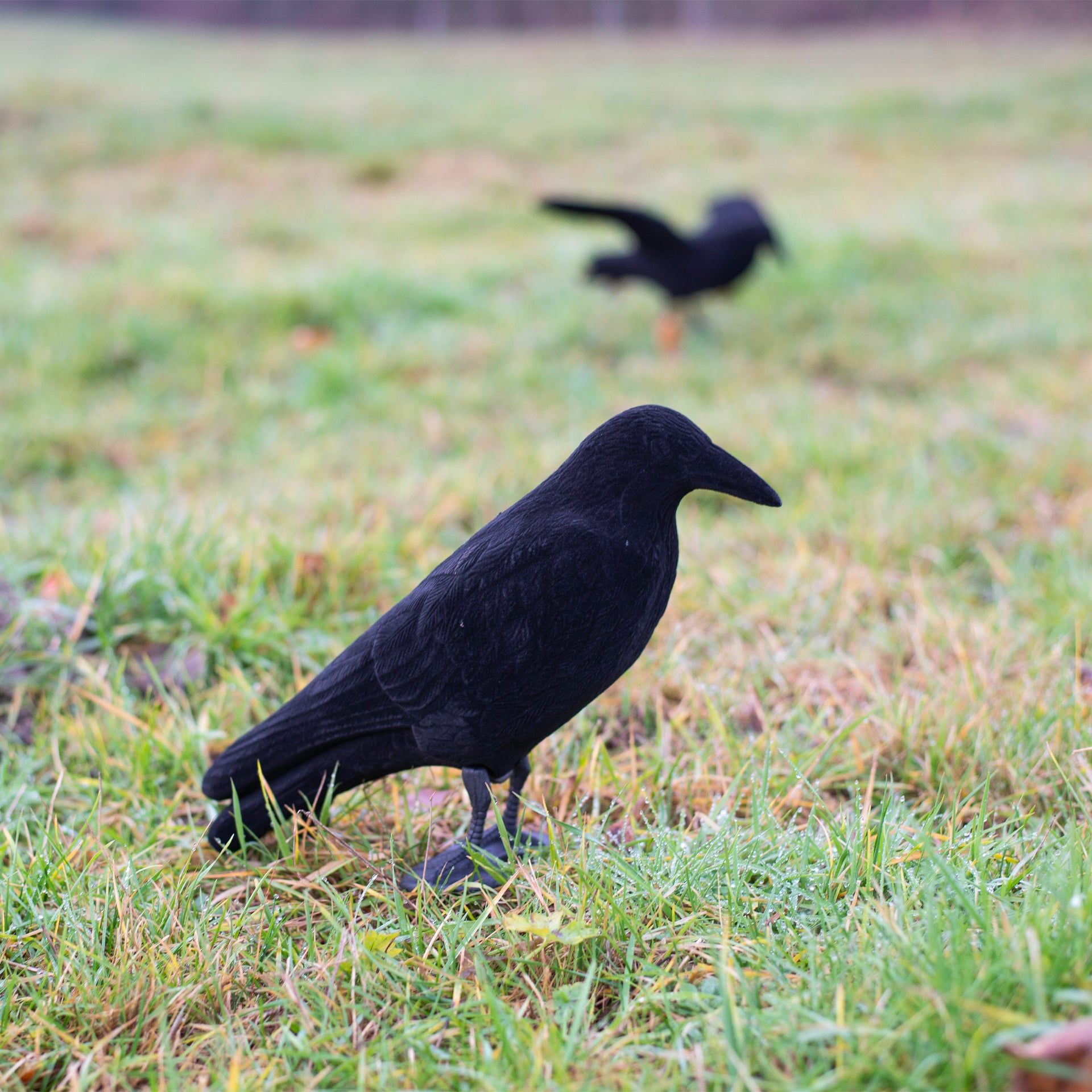 Eurohunt beflockter Ganzkörper-Lockvogel Krähe
