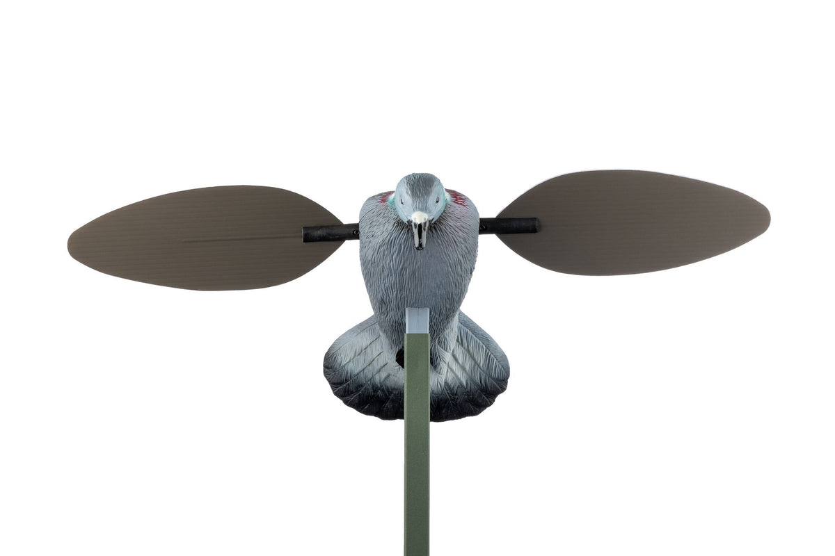 MOJO richiamo da caccia Pigeon