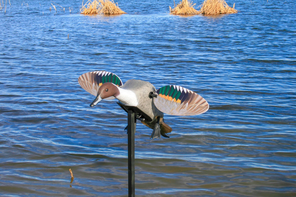 MOJO Lockvogel Elite Series Pintail