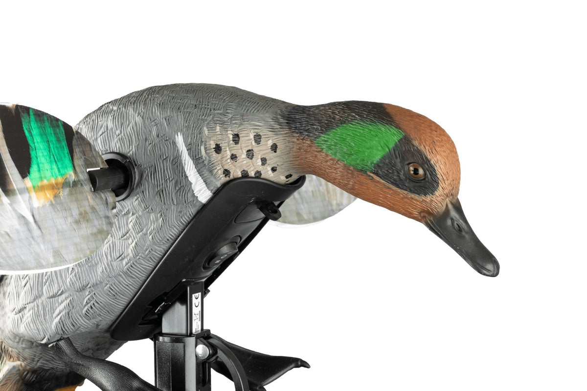 MOJO lovačka varalica Elite Series Green Wing kržulja