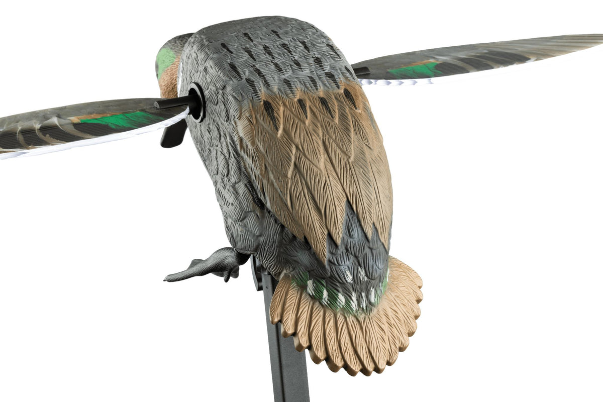 MOJO lovačka varalica Elite Series Green Wing kržulja