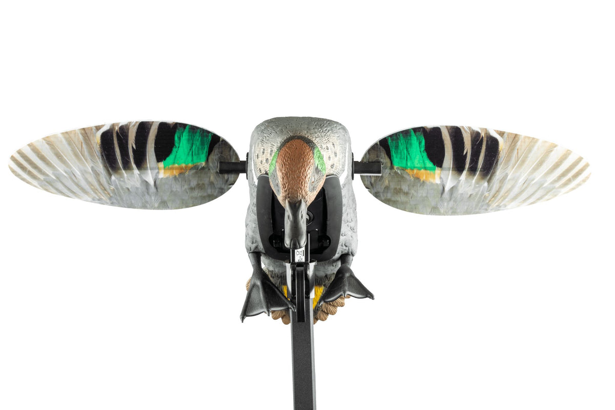 MOJO lovačka varalica Elite Series Green Wing kržulja