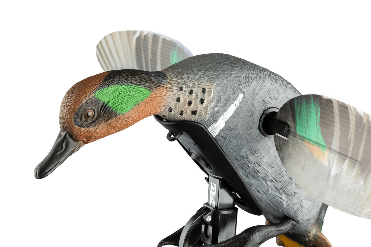 MOJO lovačka varalica Elite Series Green Wing kržulja