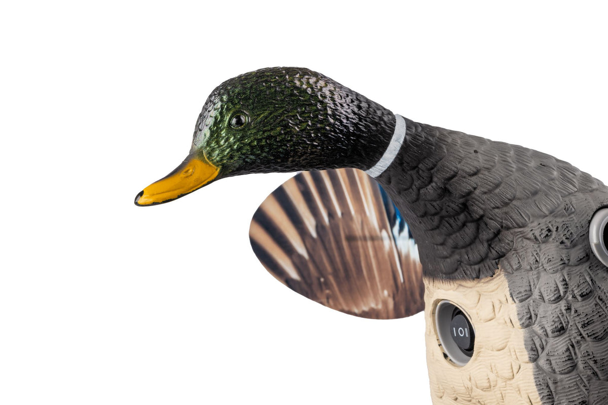 MOJO Lockvogel Elite Series Floater Stockente