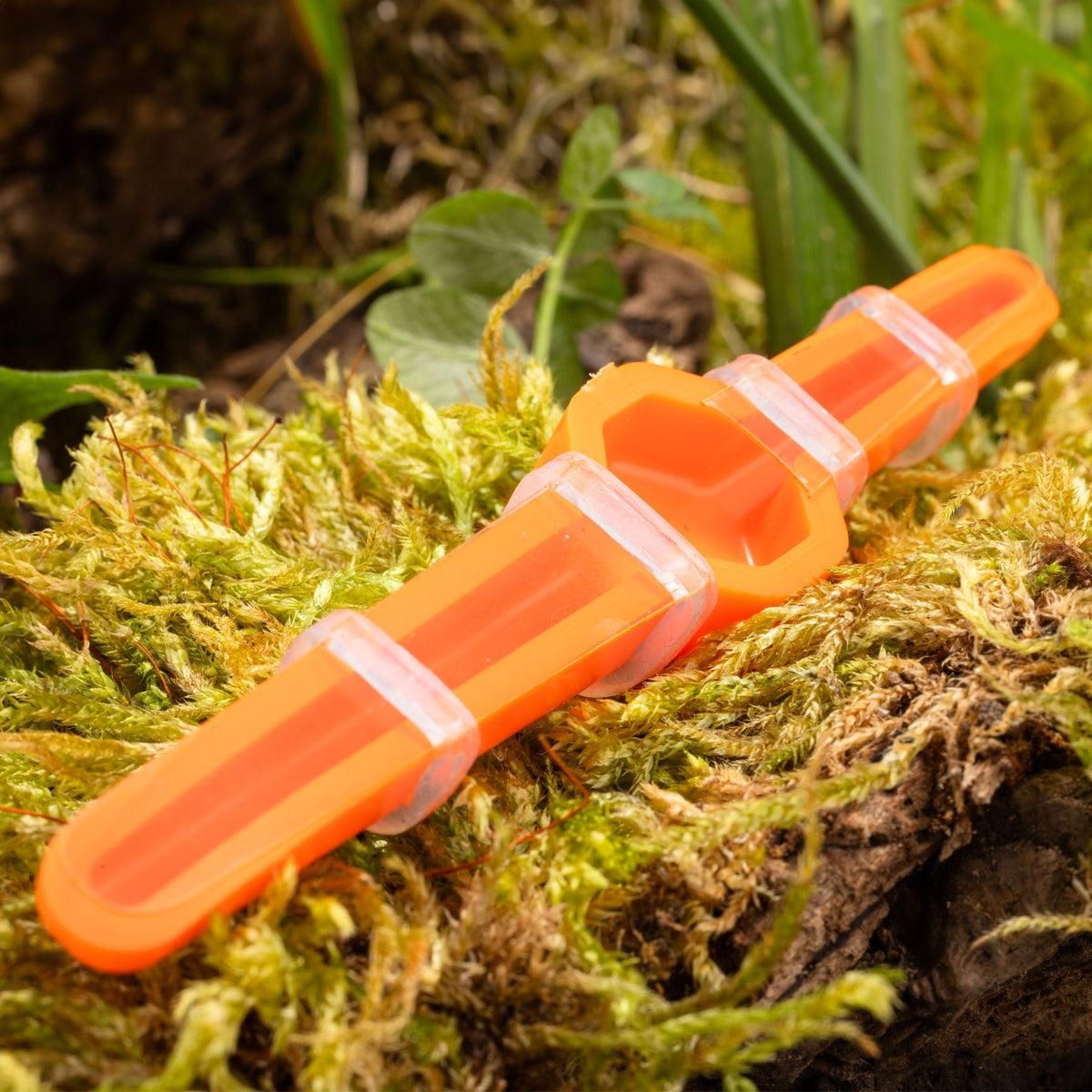 Eurohunt WXT-4all