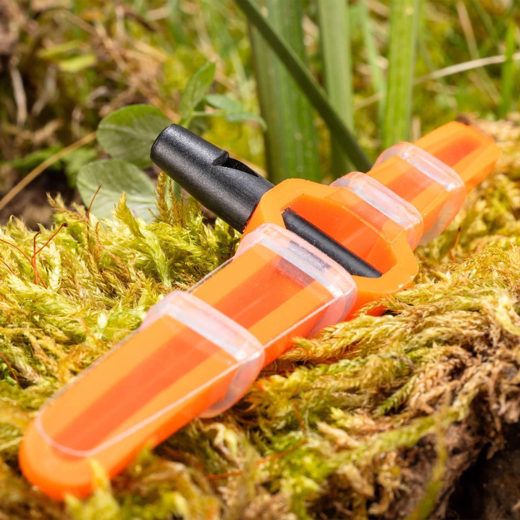 Eurohunt WXT-4all Plus