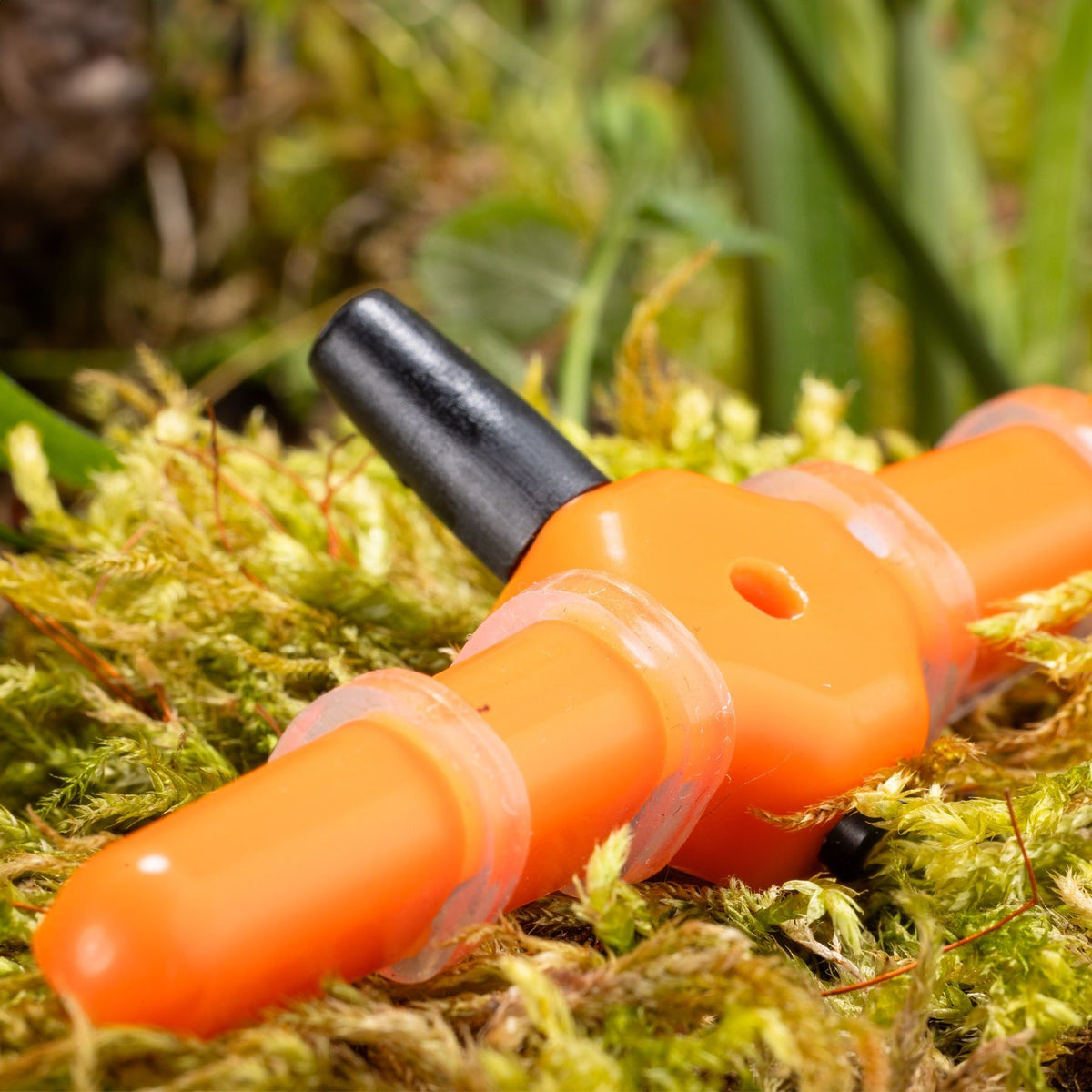 Eurohunt WXT-4all Plus