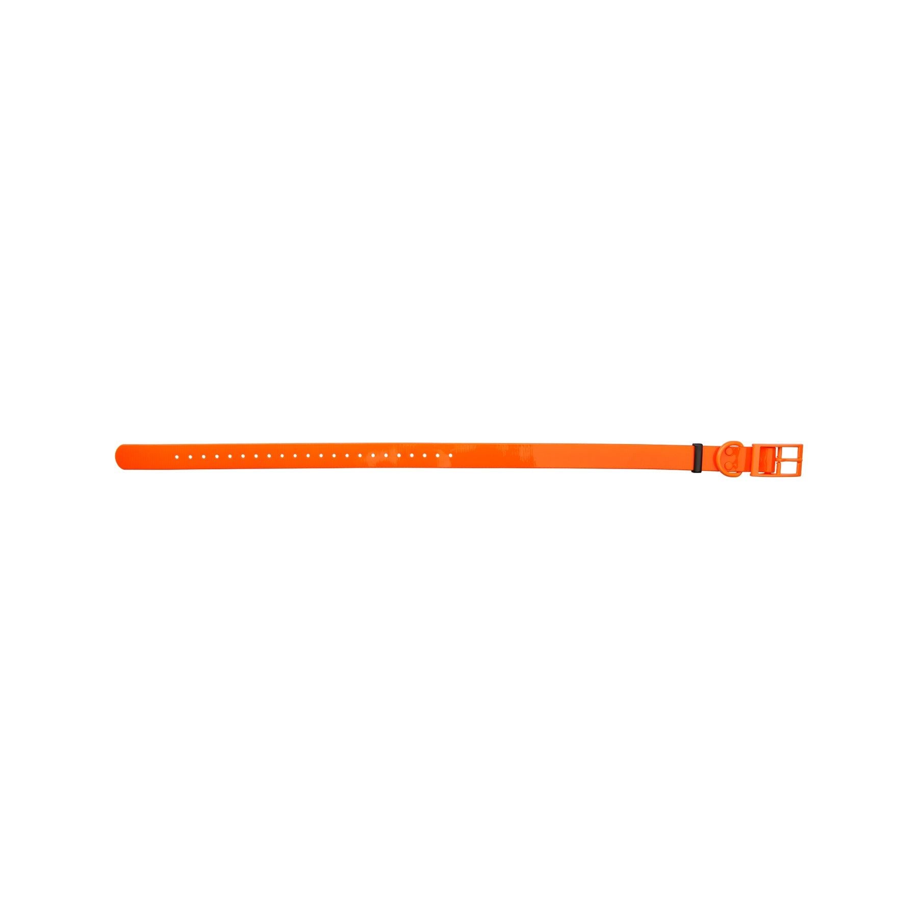 HP&G Hundehalsband – orange, 65 × 2.5 cm