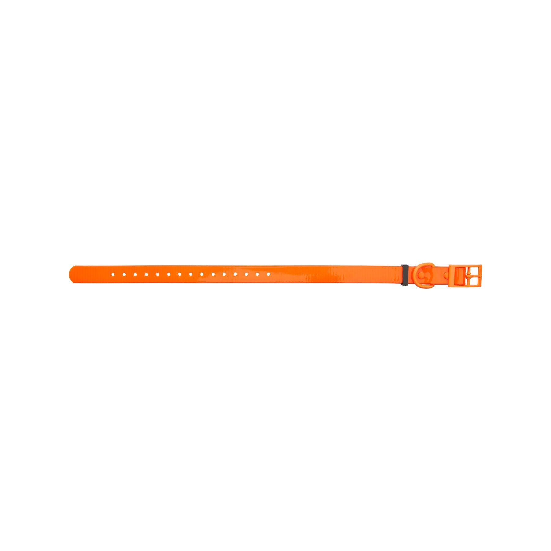 HP&G Hundehalsband – orange, 45 × 1.9 cm