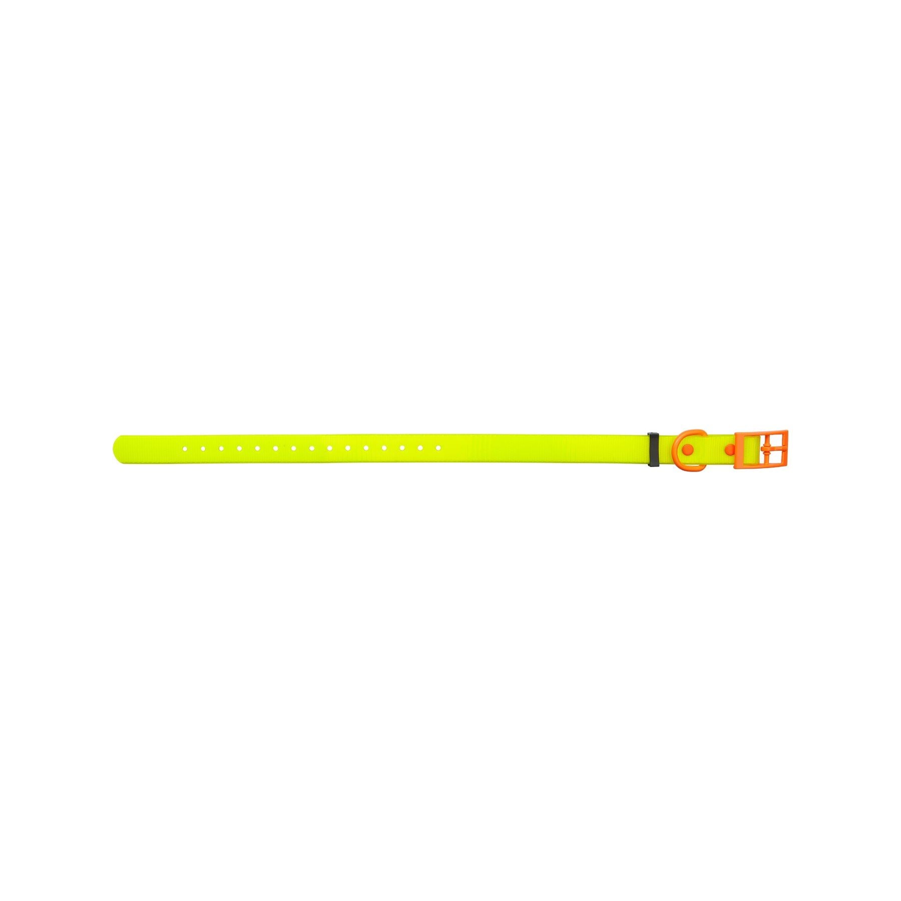 HP&G Hundehalsband – gelb, 45 × 1.9 cm