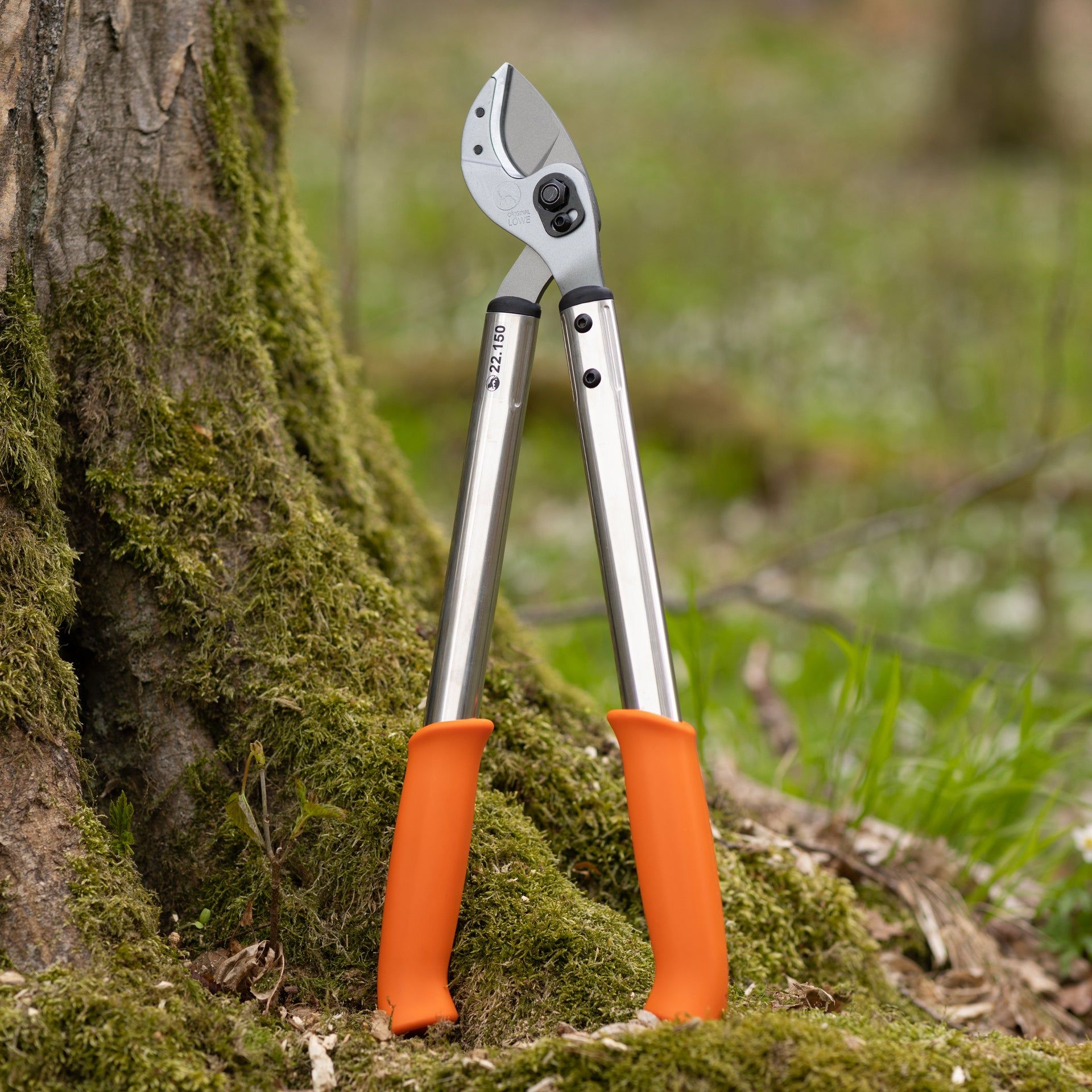 Eurohunt LÖWE Hunting Star – ročaj 50 cm