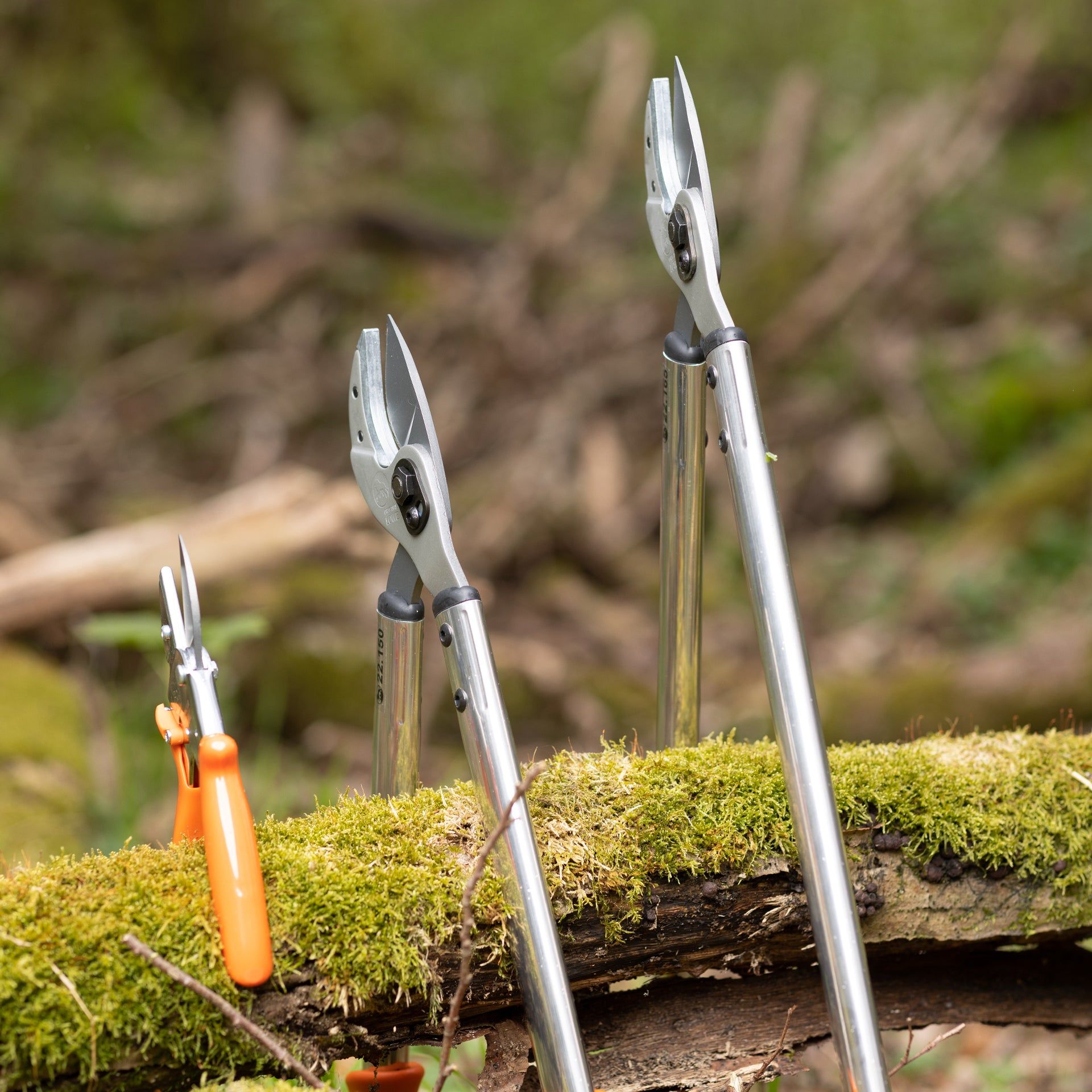 Eurohunt LÖWE Hunting Star – handle 65 cm
