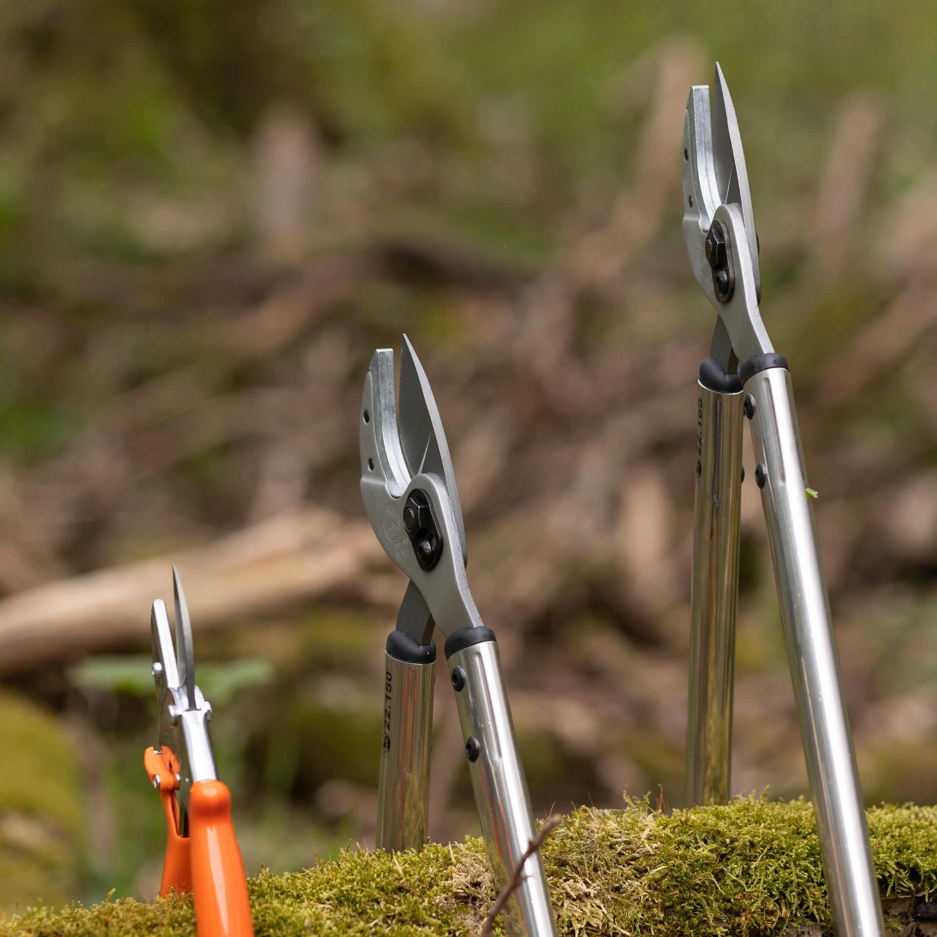 Eurohunt LÖWE Hunting Star – handle 65 cm