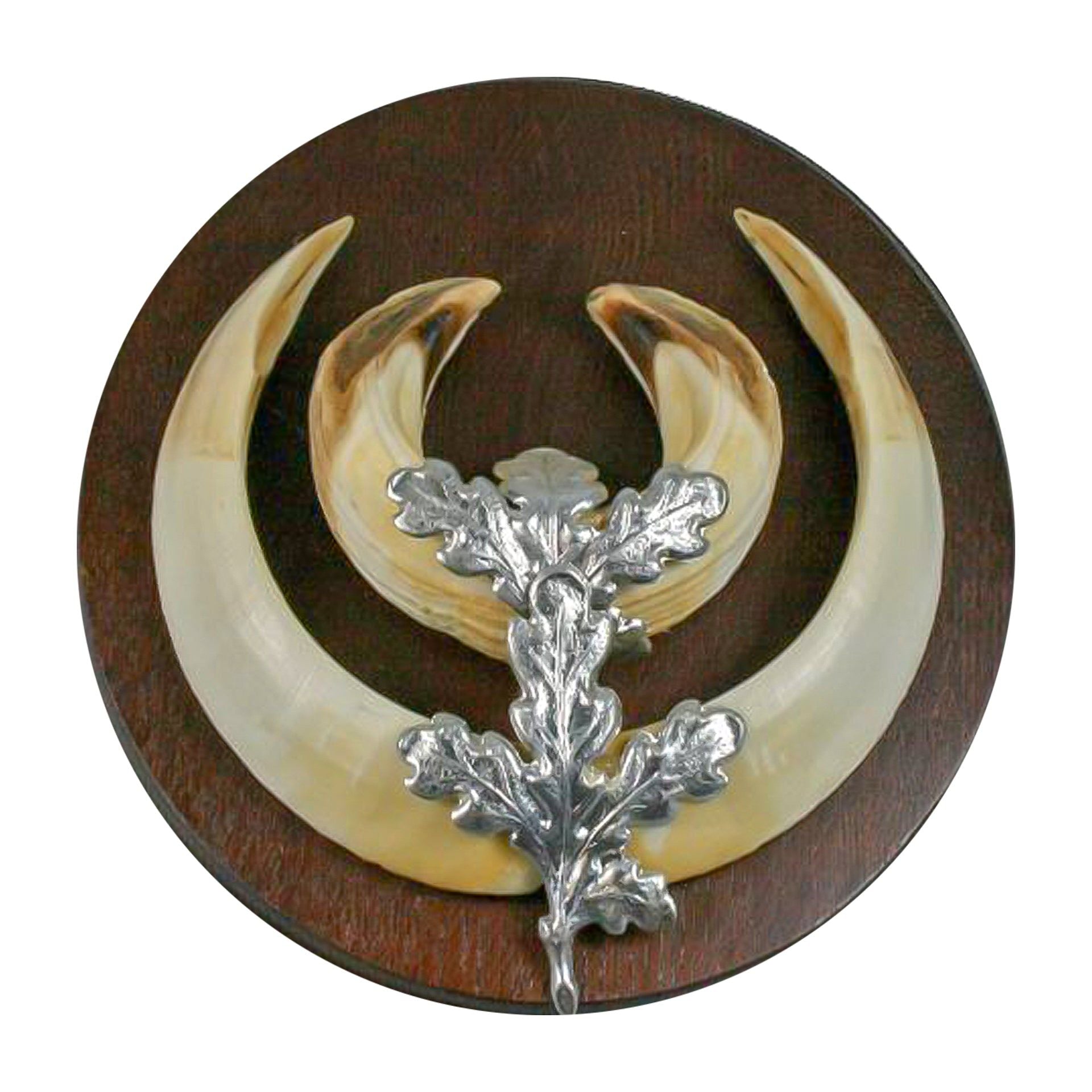 Eurohunt oak leaves for boar tusks – silver, pack 4