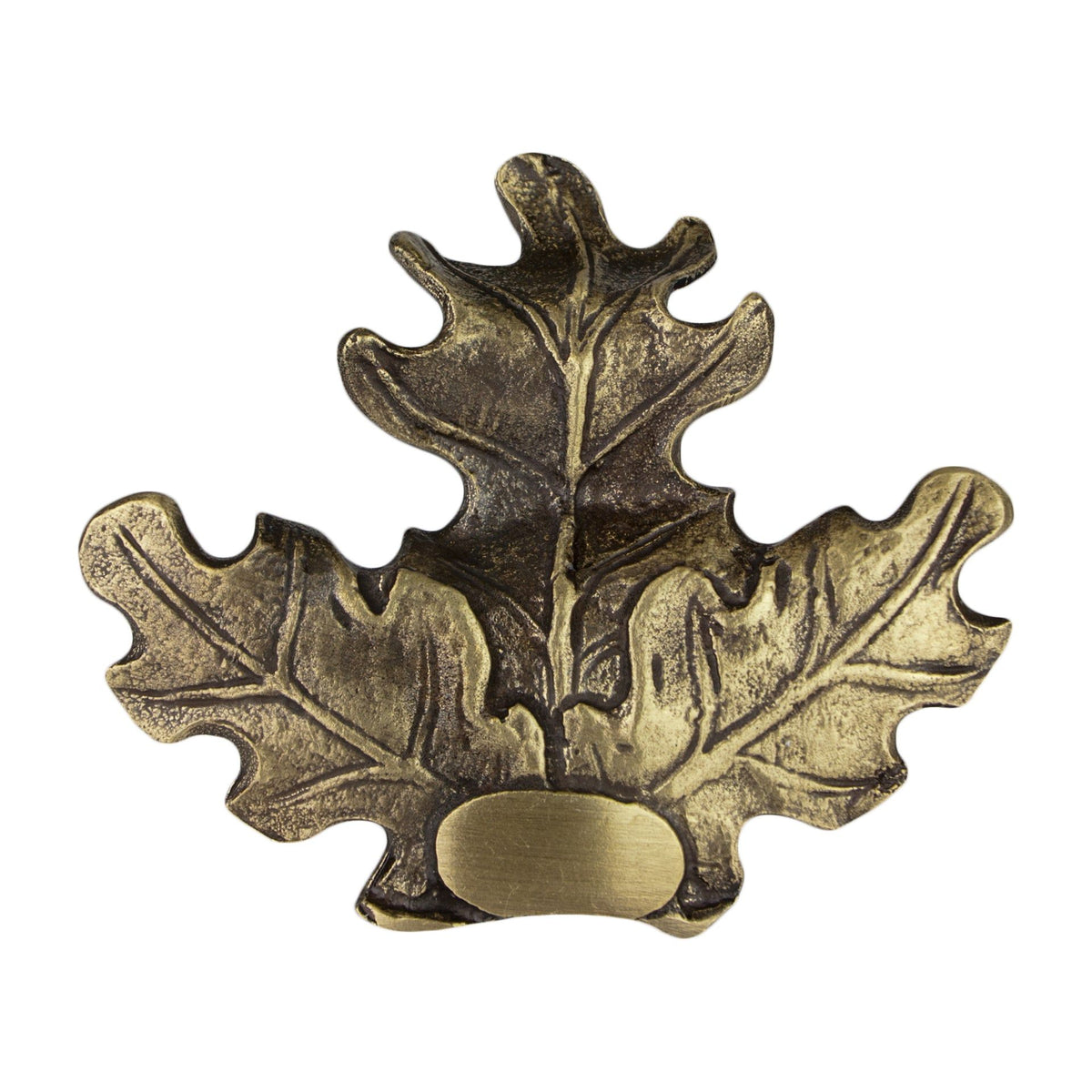 Eurohunt foglie di quercia per zanne di cinghiale – bronzo