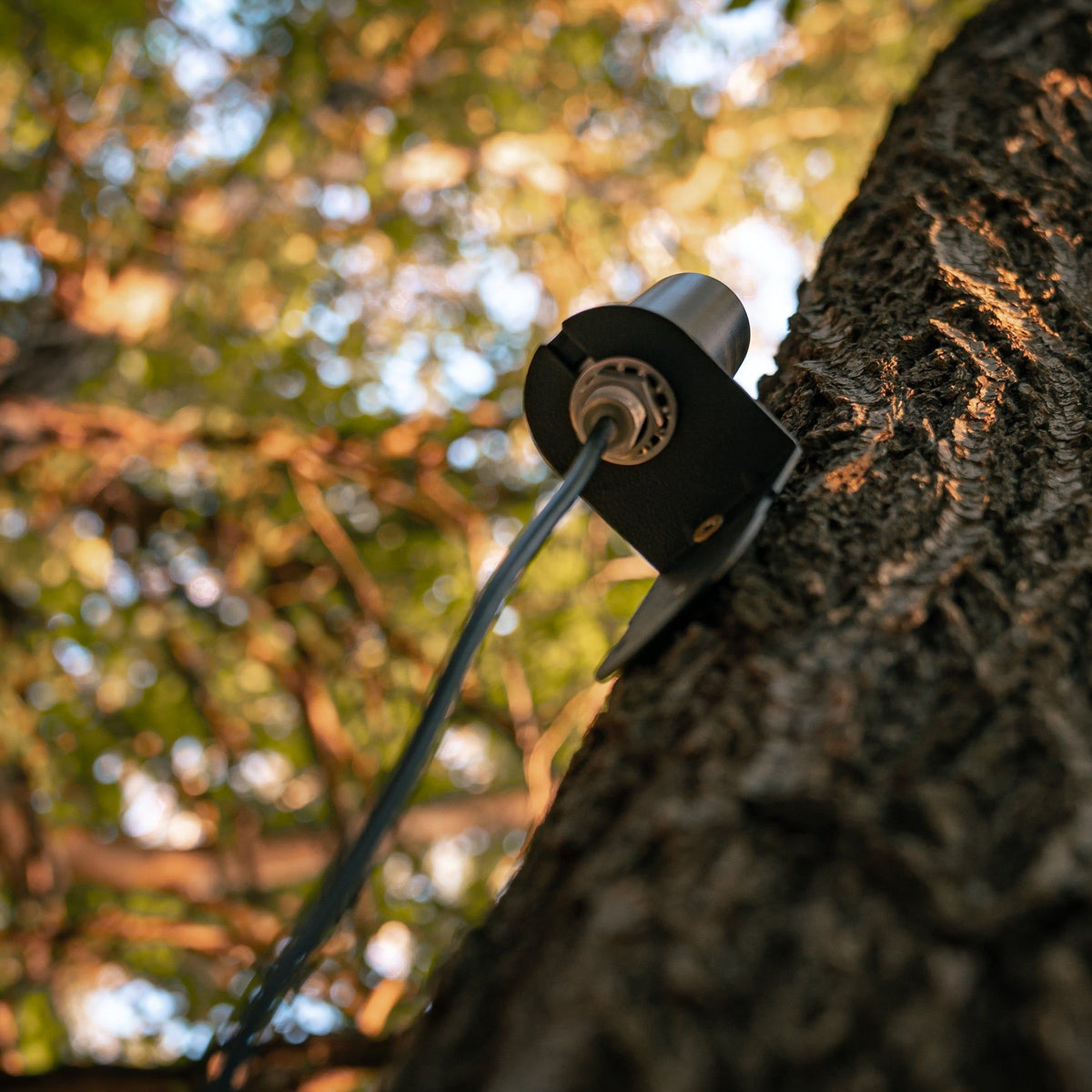 SPYPOINT 4G/LTE antena CA-01