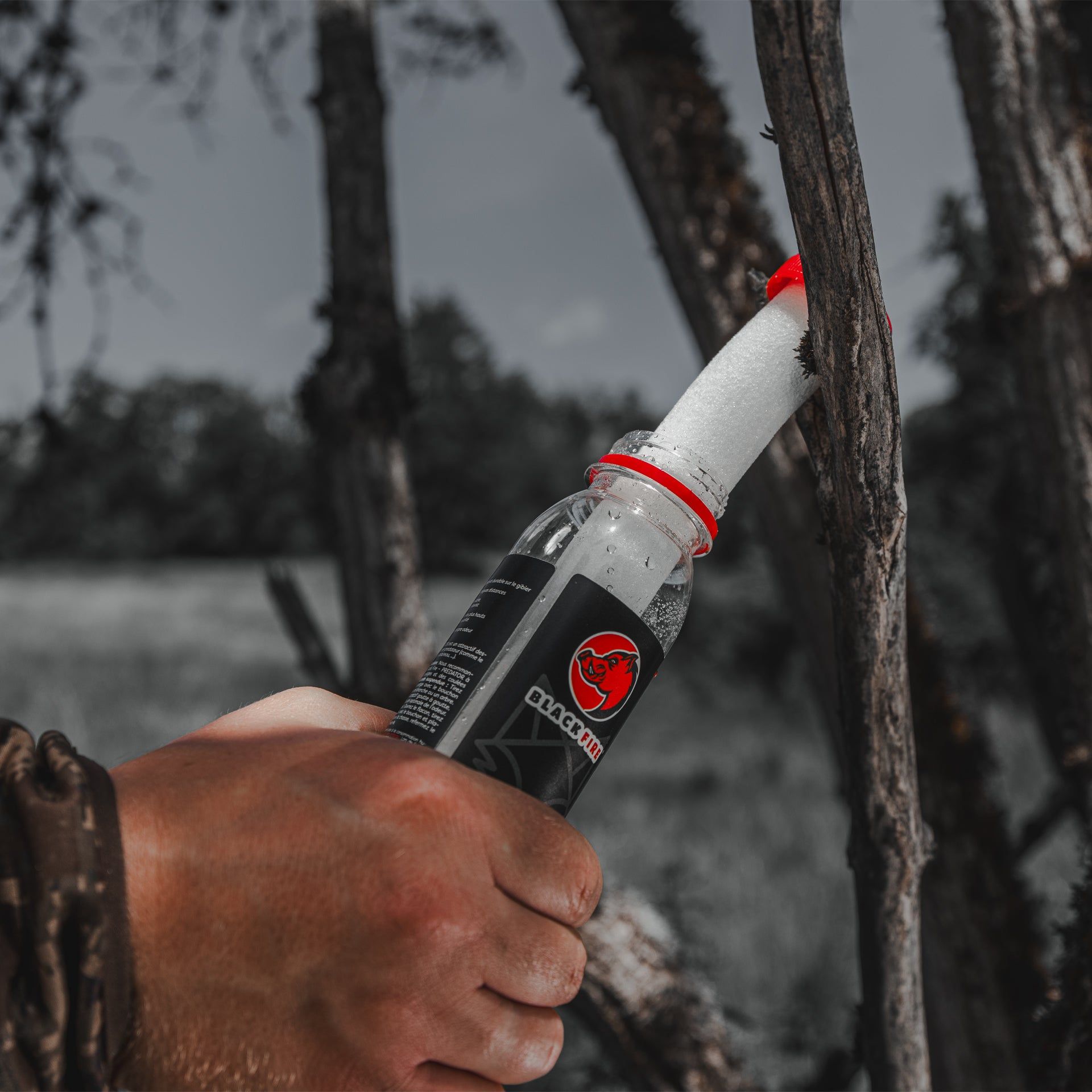 BlackFire Predator 3x80ml