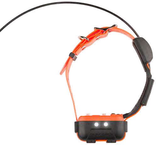 Numaxes Canicom GPS Mini dodatna ogrlica bez treninga