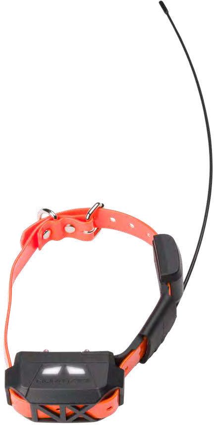 Numaxes Canicom GPS Mini komplet bez treninga